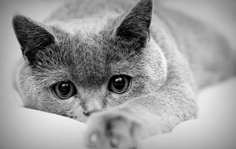 RocketMQ——NameServer消息路由和Broker管理