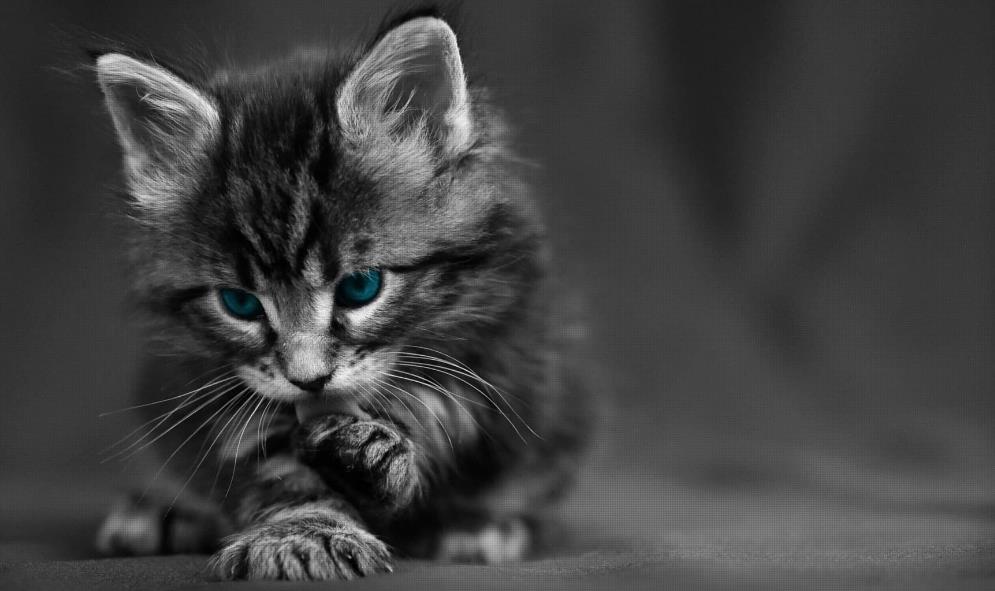 RocketMQ——消息存储原理分析之内存映射