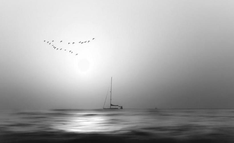 《不抱怨的世界》——连山【中】- 阅读随笔