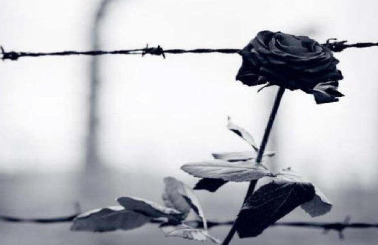 分布式锁实现----Zookeeper